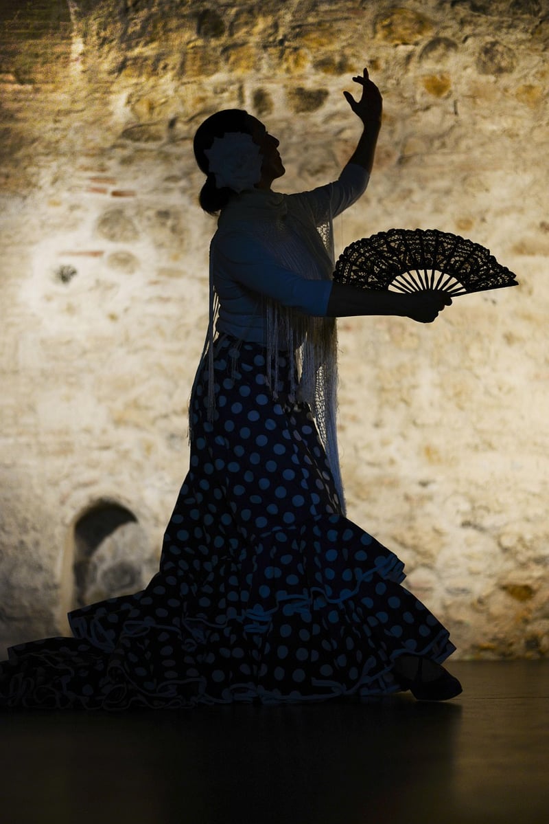 Flamenco Dance